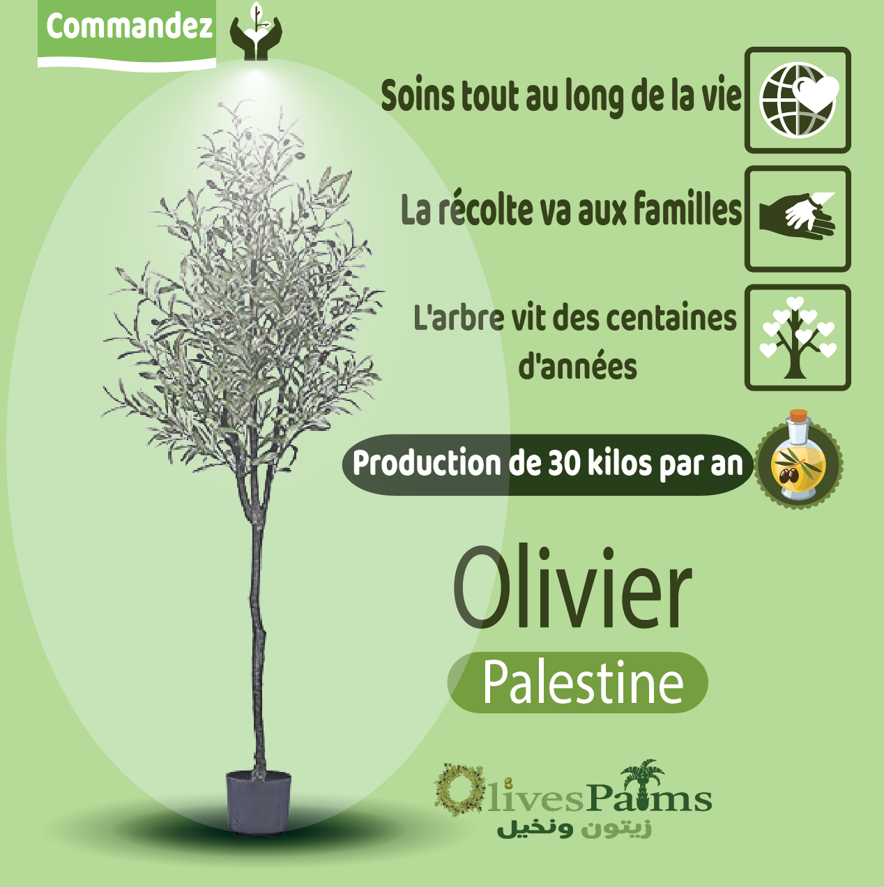 olivier en Palestine